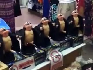 Indian Funny Videos Compilation 2015   Indian Whatsapp Funny Video Dance   In Hindi #9