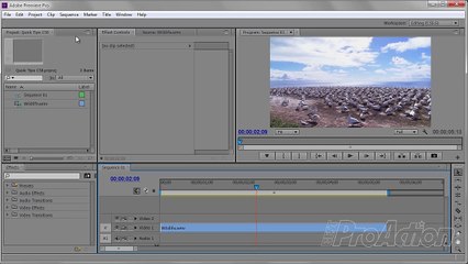 Vignette. End of Story