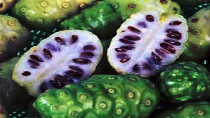 cure of HIV aids with noni fruits