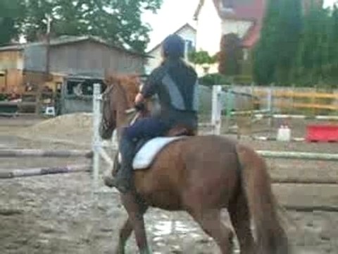 concours équin des bruyère