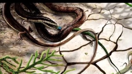 Snake with four legs