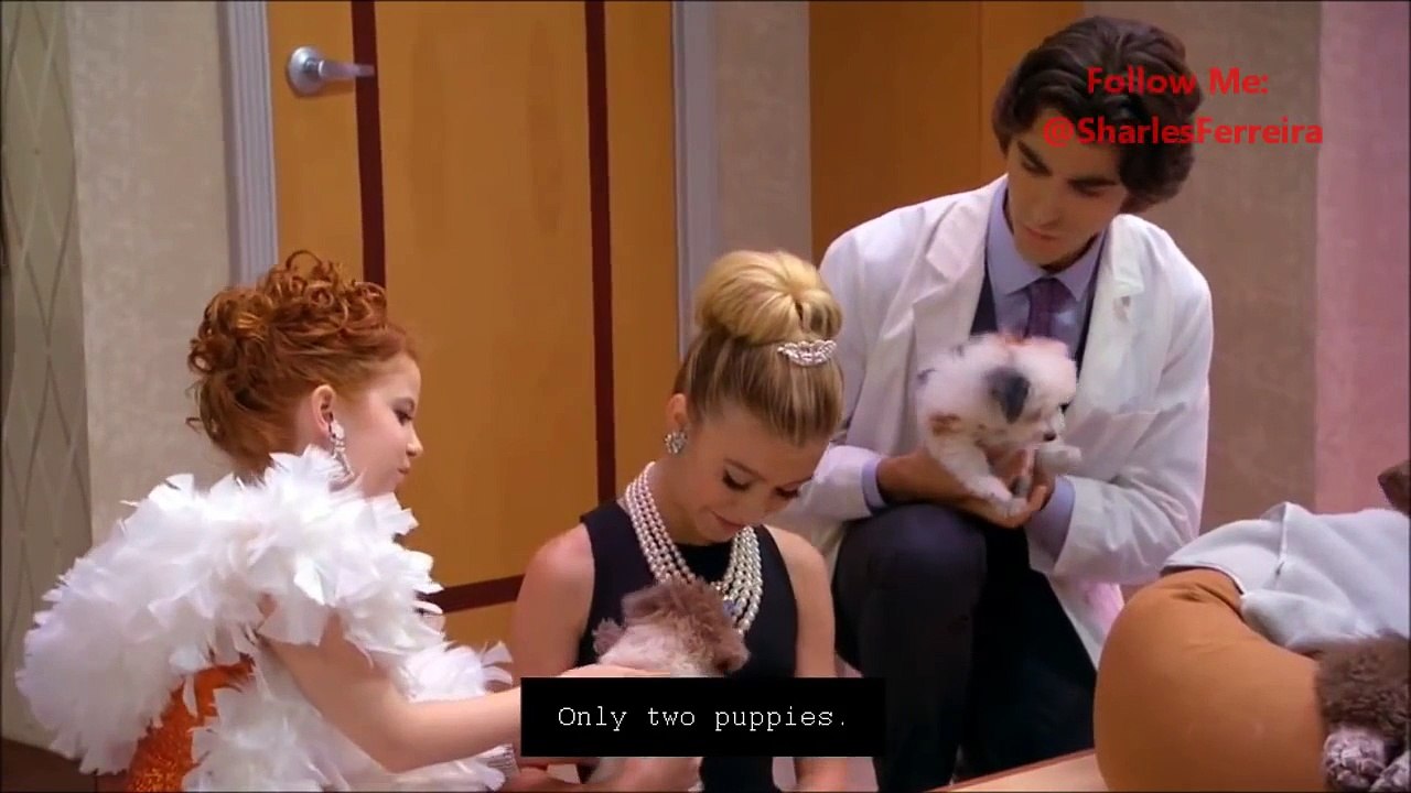 Dog With A Blog Stan Has Puppies