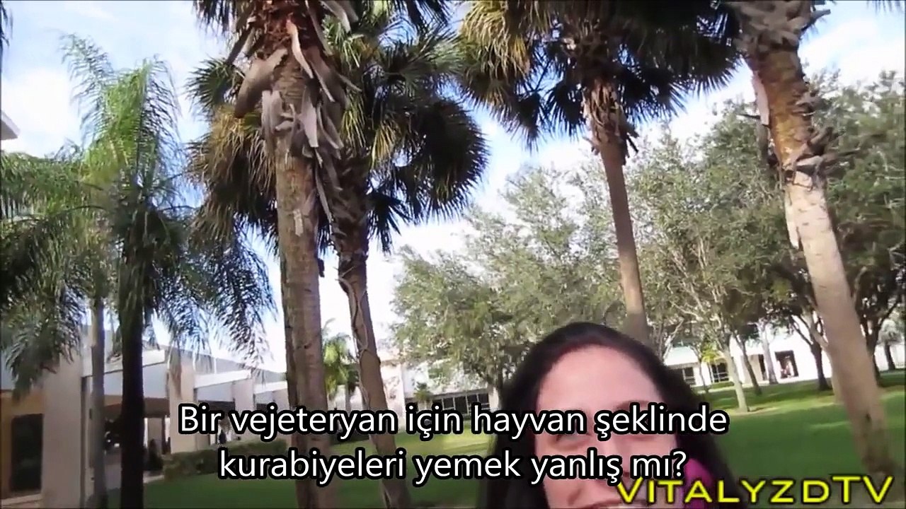 Vitaly'den beklenmedik röportajlar (Türkçe Altyaz)