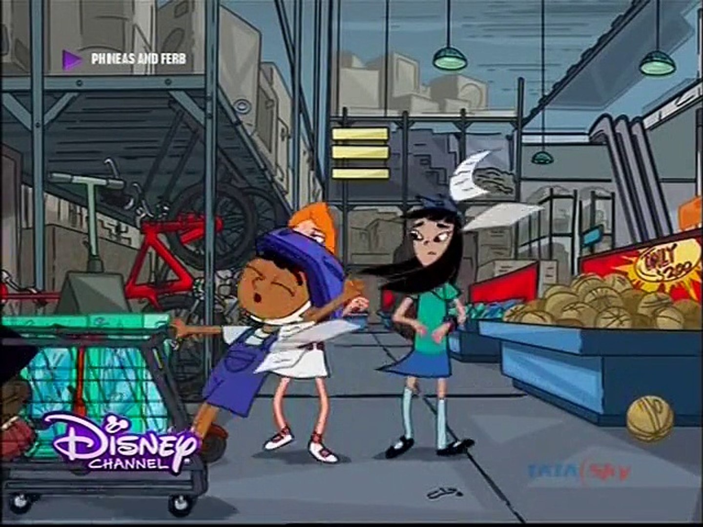 Phineas and store ferb in hindi