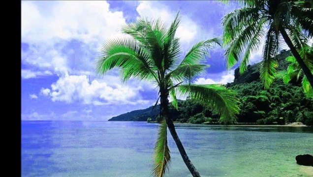 Vedat Çetinkaya - Gönül Yarasından Acı Duyanlar