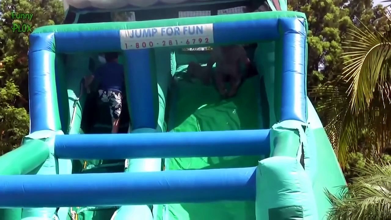 Funny Dogs on Water Slides Compilation 2014 [HD]