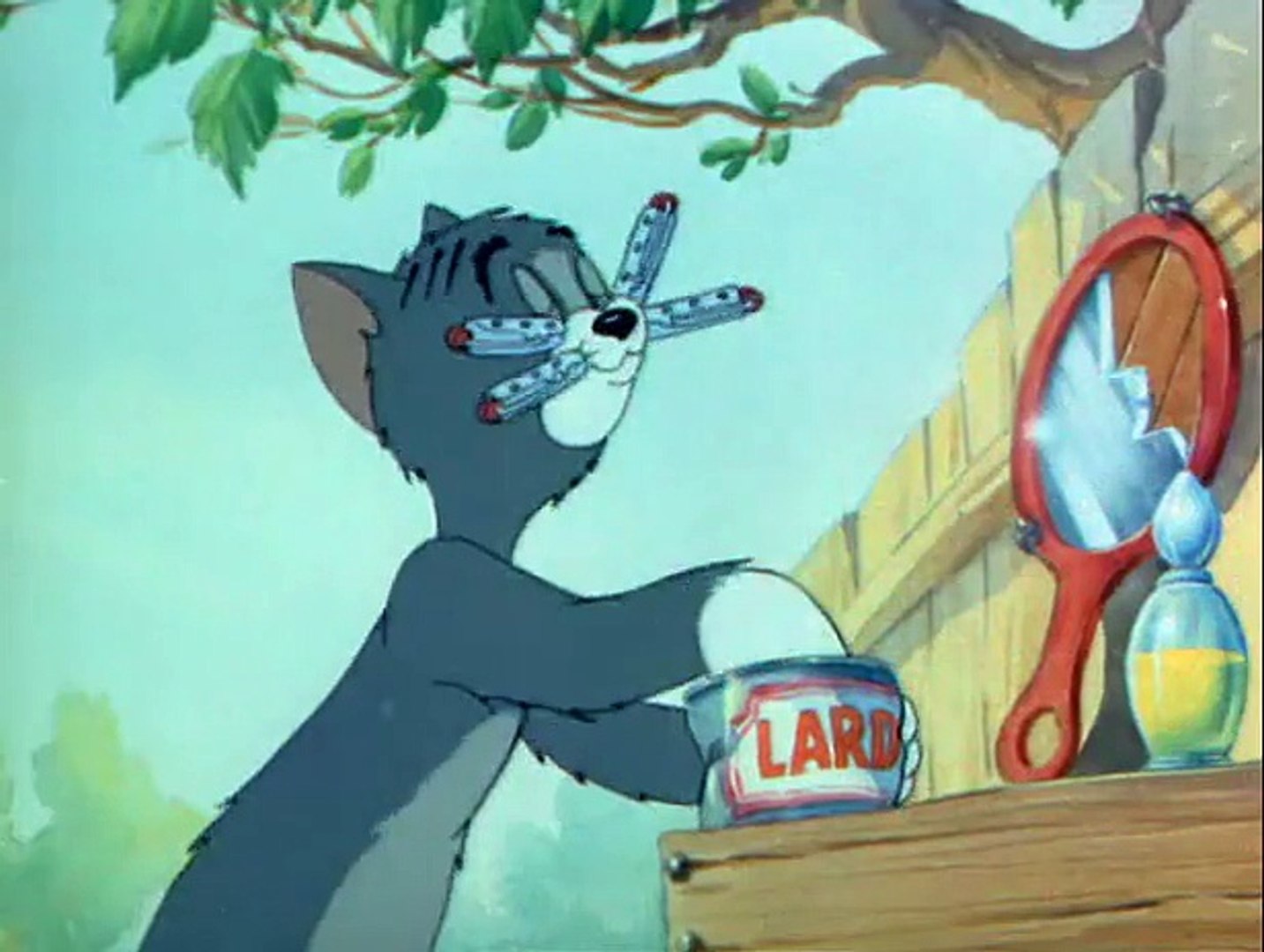 Tom & Jerry, Cat Suit