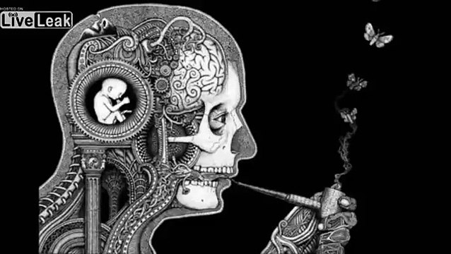LiveLeak.com - Terrence McKenna Decribes DMT Trip