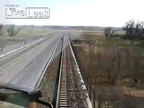 LiveLeak.com - Cow Commits Suicide RIP