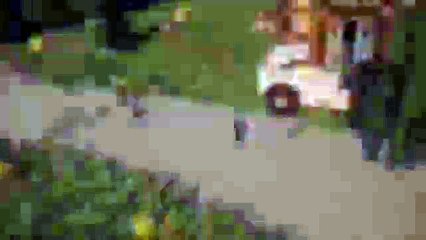 Minecraft Intro GIVEAWAY [CLOSED]