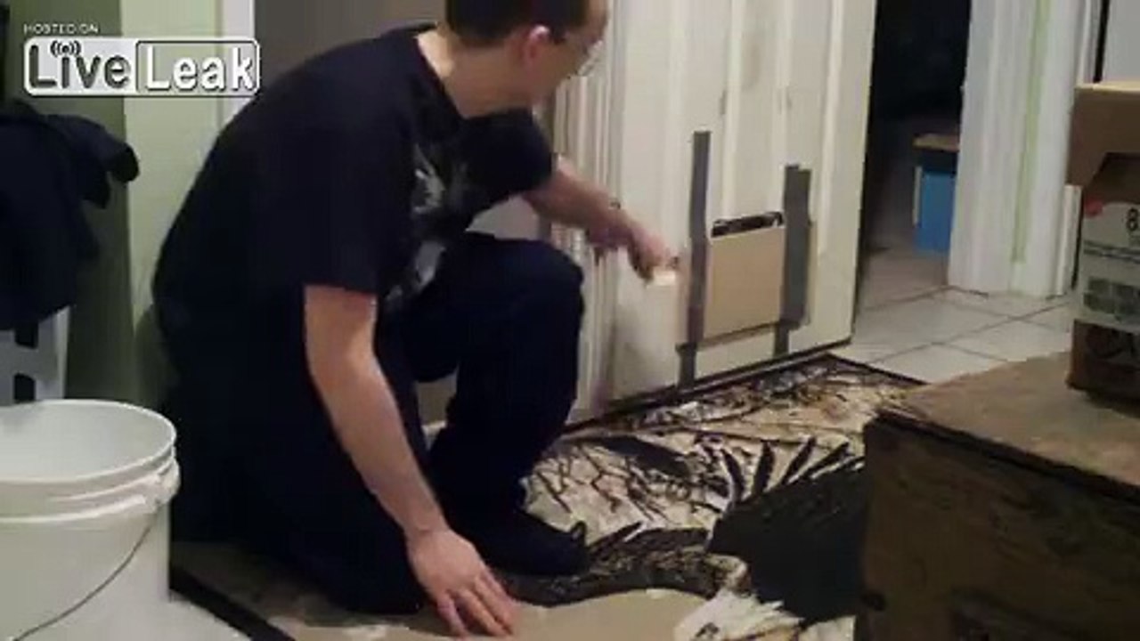 Jerkoff guy trolling his cats!