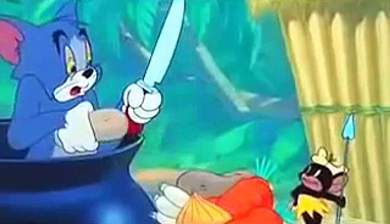 Tom and Jerry cartoons The Classic Collection