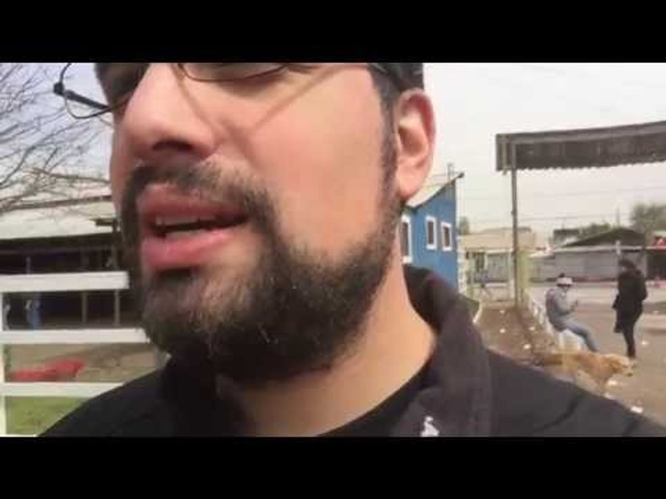 @Vardoc Random Life ( Parte 834 ) : Paint Ball y Cats! 25/09/2015