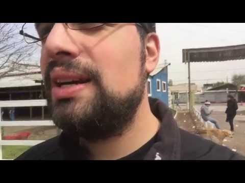 @Vardoc Random Life ( Parte 834 ) : Paint Ball y Cats! 25/09/2015