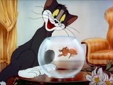 Tom and Jerry, 6 Episode - Puss n’ Toots (1942) - Tom and Jerry Cartoon