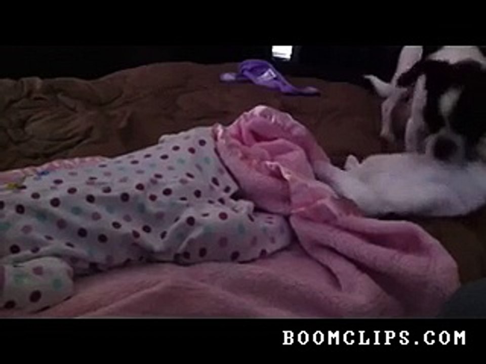 cute_dog_tucks_in_baby