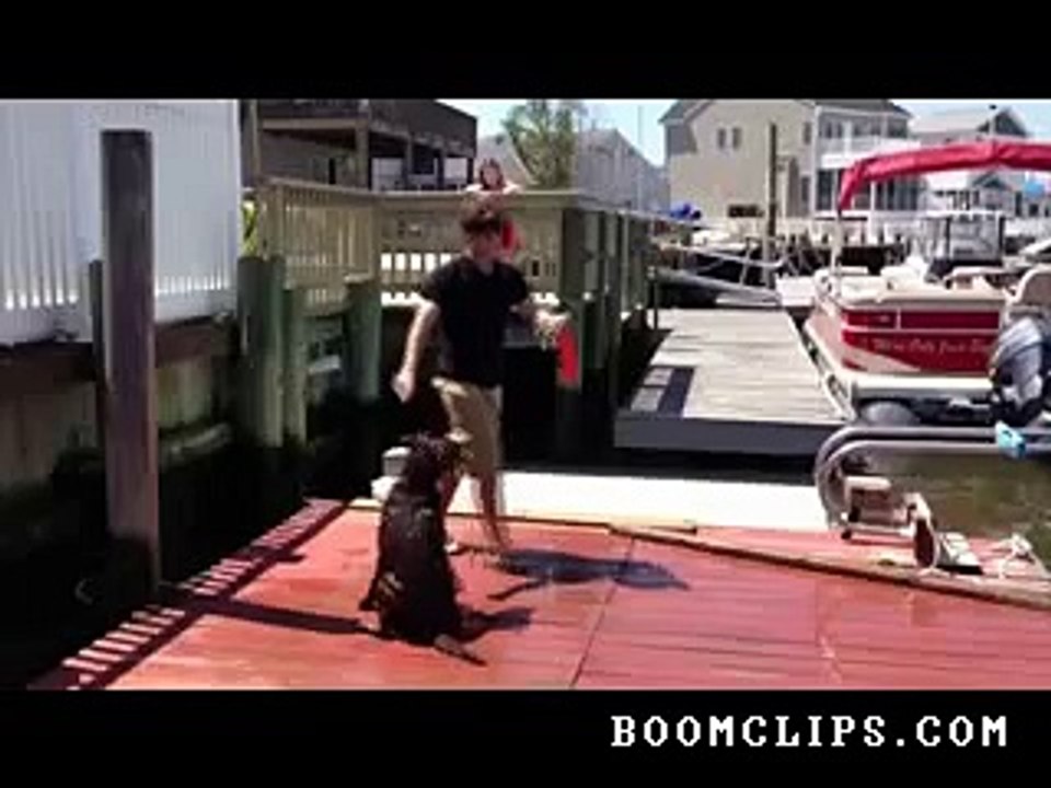 dumb_dog_moment