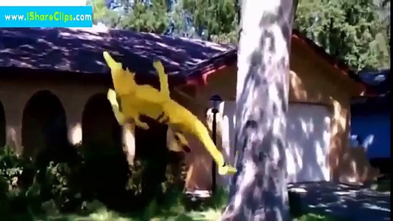 Funny Videos That Make You Laugh So Hard You Cry Part 1 [Full Episode]