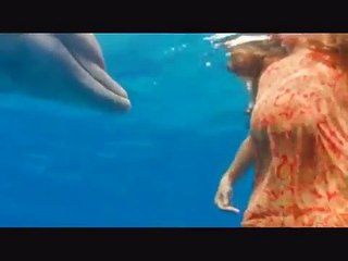 Sharks attack people Dolphins Defend
