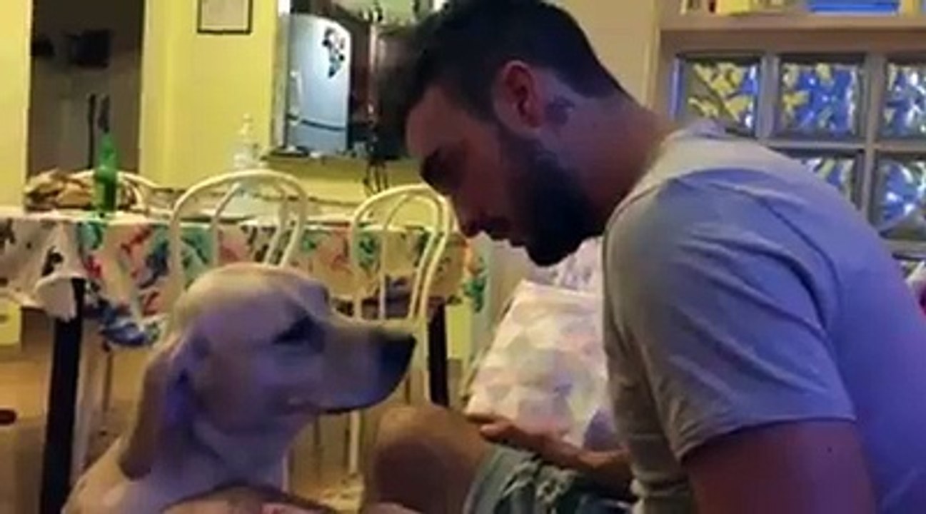 Cute Dog