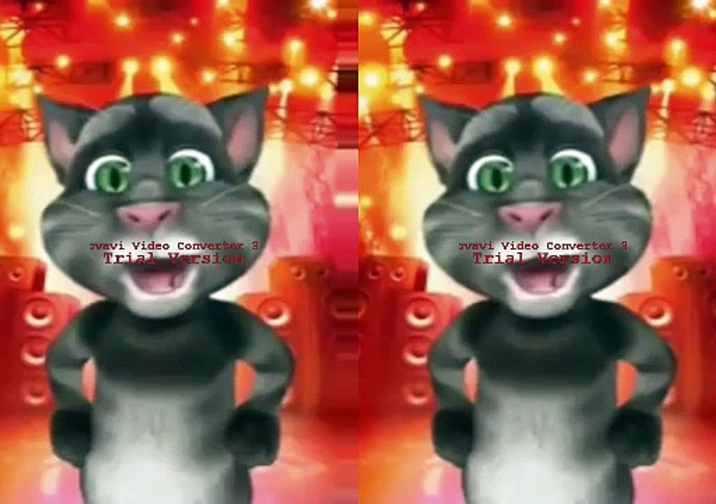 Funny punjabi tom cat