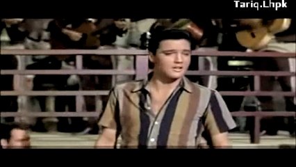 ELVIS PRESLEY  FOLLOW SONG OF RAFI