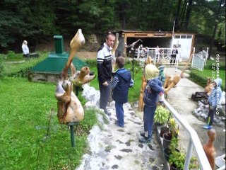 Budilica gostovanje (Milorad Antić Pirke), 27. septembar 2015. (RTV Bor)