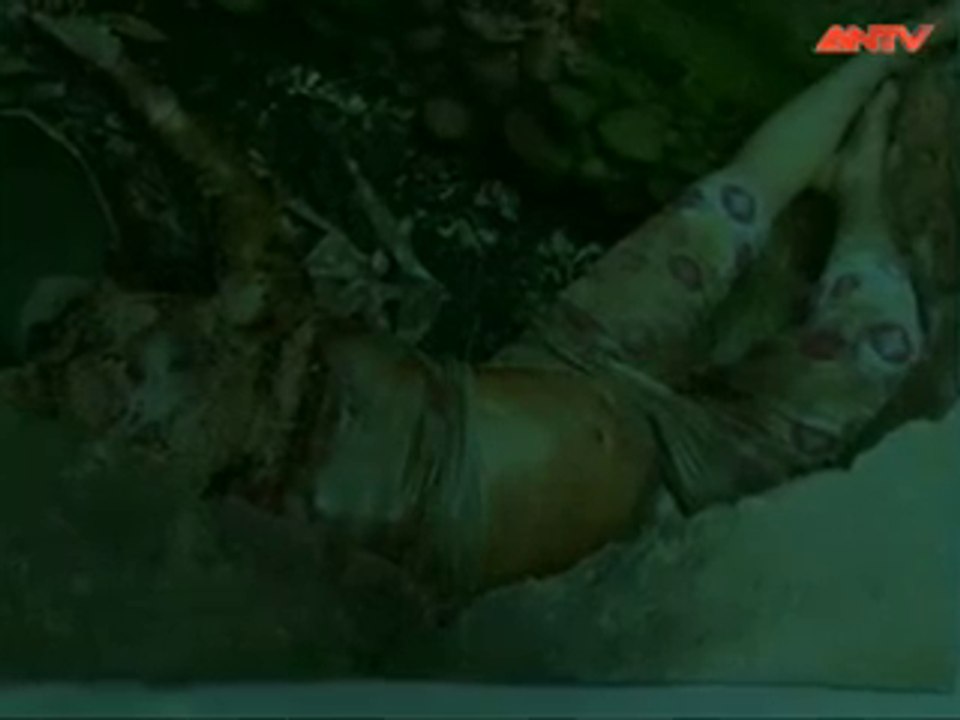 Hành Trình Phá Án-100 Ngày phá án giết người cướp tài sản