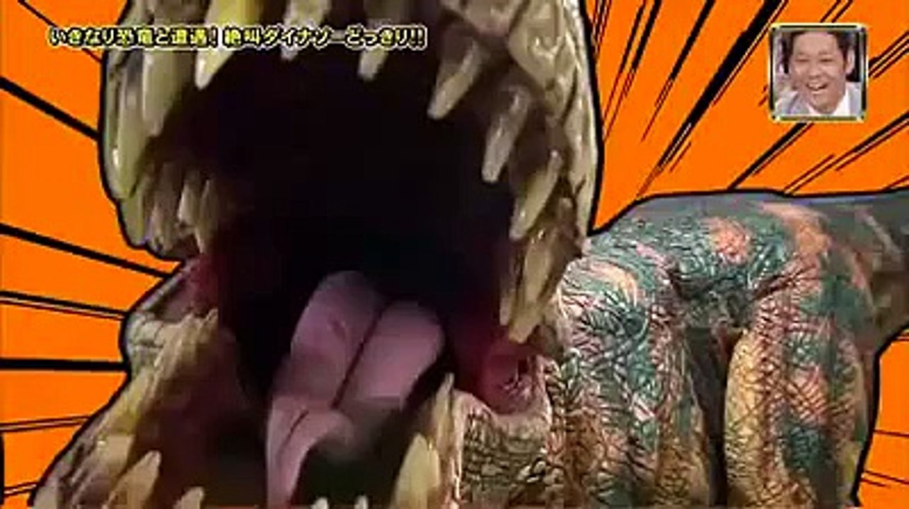 Japan most funny video ever
