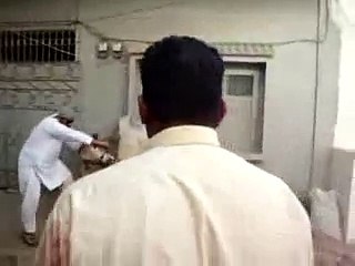 cow kick and running away on eid ul adha 2016