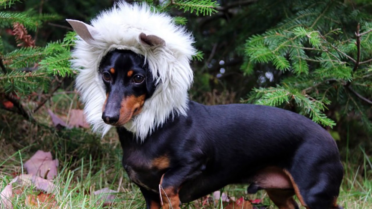 Top 5 Reasons Star Wars Battlefront Might Suck!