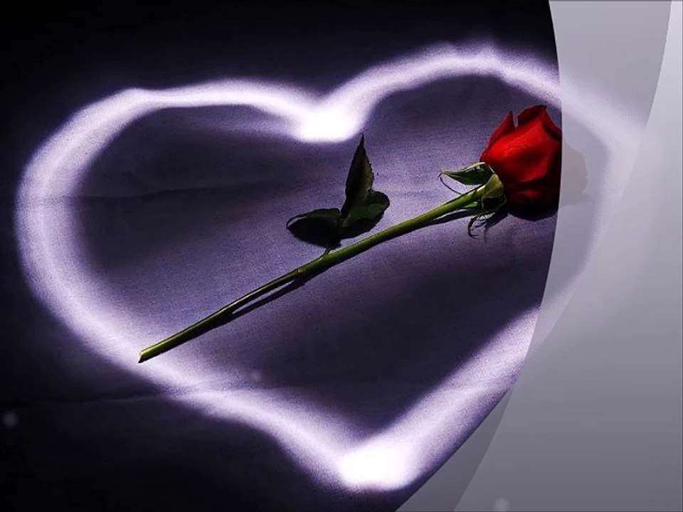 NICOLA DI BARI - Il cuore è uno zingaro