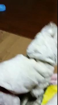 2빠따《OIO↔9529↔1551》여의도출장안마イ영등포출장마사지℃알아서 홍콩으로?Å