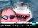 More people died from selfies than shark attacks this year