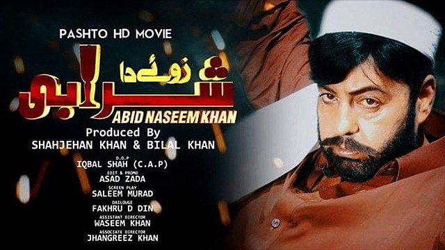 Pashto Film Zwee Da Sharabi Hits 10
