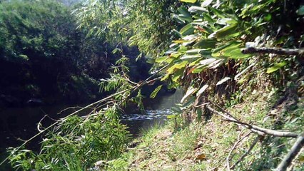 Busca da nascente do Rio Paraíba do Sul, Rio PAraibuna, Cachoeiras e mergulhos contemplativos da Natureza, 2015