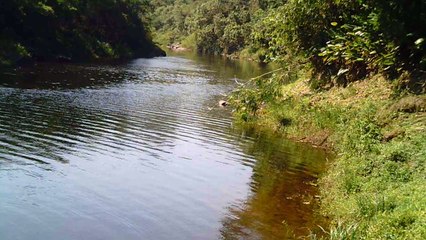 Busca da nascente do Rio Paraíba do Sul, Rio PAraibuna, Cachoeiras e mergulhos contemplativos da Natureza, 2015