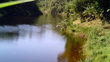 Busca da nascente do Rio Paraíba do Sul, Rio PAraibuna, Cachoeiras e mergulhos contemplativos da Natureza, 2015