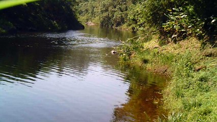 Busca da nascente do Rio Paraíba do Sul, Rio PAraibuna, Cachoeiras e mergulhos contemplativos da Natureza, 2015