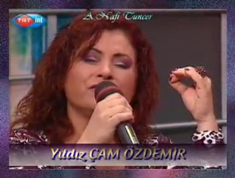 Yıldız ÇAM ÖZDEMİR *İki Keklik Bir Kayada Ötüyor*