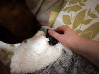 Petite Aria chez tatie Céline le 27-09-2015