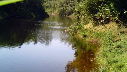 Busca da nascente do Rio Paraíba do Sul, Rio PAraibuna, Cachoeiras e mergulhos contemplativos da Natureza, 2015