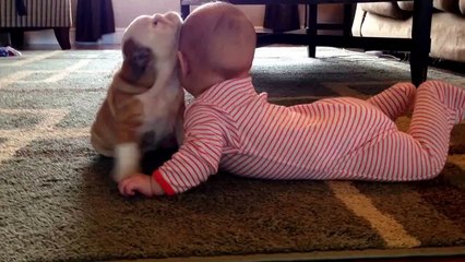 Pupp kissing little kid so Adorable...