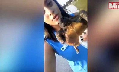 Yüzme bilmeyen kaplumbağayı suya atarak ‘kurtardı’