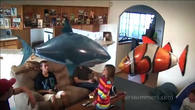 Cá Bay Điều Khiển Từ Xa -0975 559 409