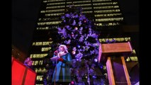 LiveLeak.com - Most beautiful Christmas Trees!