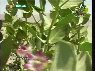 Azeem jan M.Shai Brahui song collection by Rj Manzoor Kiazai