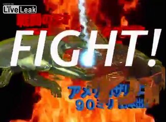 Swamp-Crawfish VS Stag-Beetle