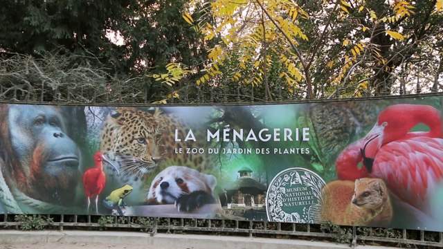 La Ménagerie - Le Zoo du Jardin des Plantes - Paris