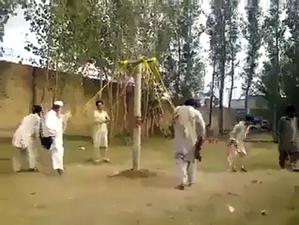 Funny Totay